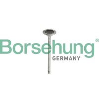 Borsehung B10343 Einlassventil