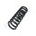 PROFLEX AUTOMOTIVE PX1-1002 Fahrwerksfeder