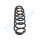 PROFLEX AUTOMOTIVE PX1-1040 Fahrwerksfeder