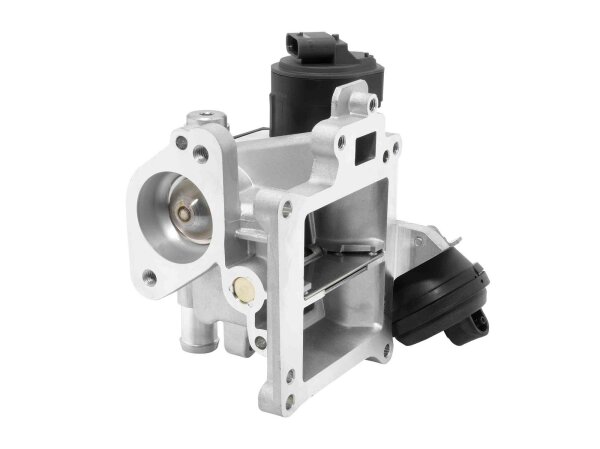 BorgWarner 710488D0 AGR-Ventil