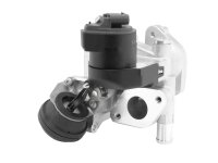 BorgWarner 710488D0 AGR-Ventil