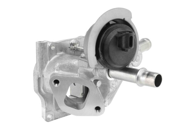 BorgWarner 710532D0 AGR-Ventil