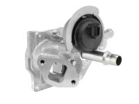 BorgWarner 710532D0 AGR-Ventil