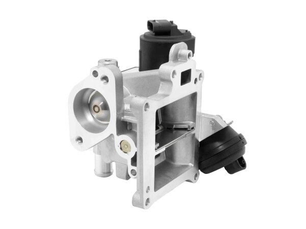 BorgWarner 710626D0 AGR-Ventil