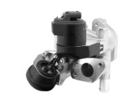 BorgWarner 710626D0 AGR-Ventil