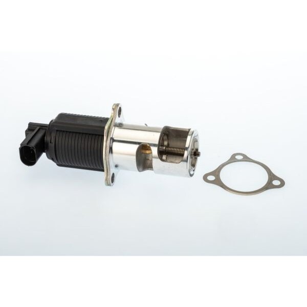 BorgWarner 710950D AGR-Ventil