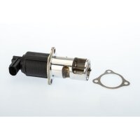 BorgWarner 710950D AGR-Ventil