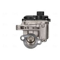 NISSENS 98446 AGR-Ventil