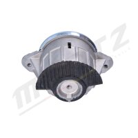 MERTZ M-S5181 Lagerung, Motor