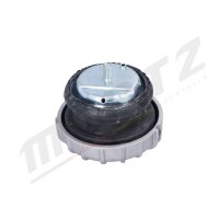 MERTZ M-S5185 Lagerung, Motor