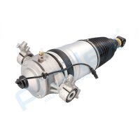 PROFLEX AUTOMOTIVE PX9-1050 Luftfederbein