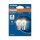 ams-OSRAM 7507DC-2BL Glühlampe, Blinkleuchte