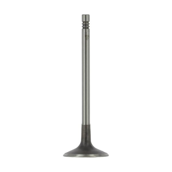 AE V95245 Einlassventil
