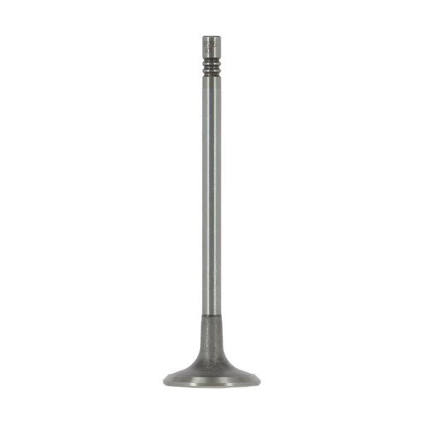AE V95256 Einlassventil