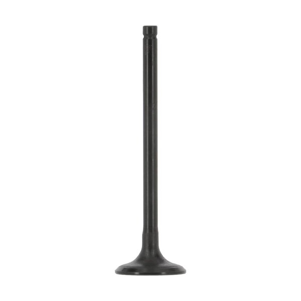 AE V95260 Einlassventil