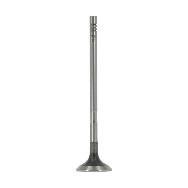 AE V95267 Auslassventil