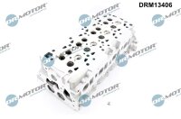Dr.Motor Automotive DRM13406 Zylinderkopf
