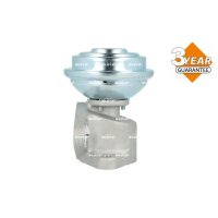 NRF 48736 AGR-Ventil
