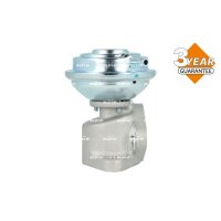 NRF 48736 AGR-Ventil