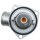 MOTORAD 478-92K Thermostat, Kühlmittel