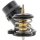MOTORAD 6001KT Thermostat, Kühlmittel