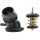 MOTORAD 6001KT Thermostat, Kühlmittel