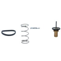 MOTORAD 799-88INSK Thermostat, Kühlmittel