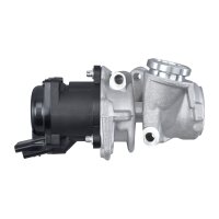 HELLA 6NU 014 862-071 AGR-Ventil