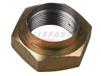 FAST FT26002 Mutter, Achszapfen