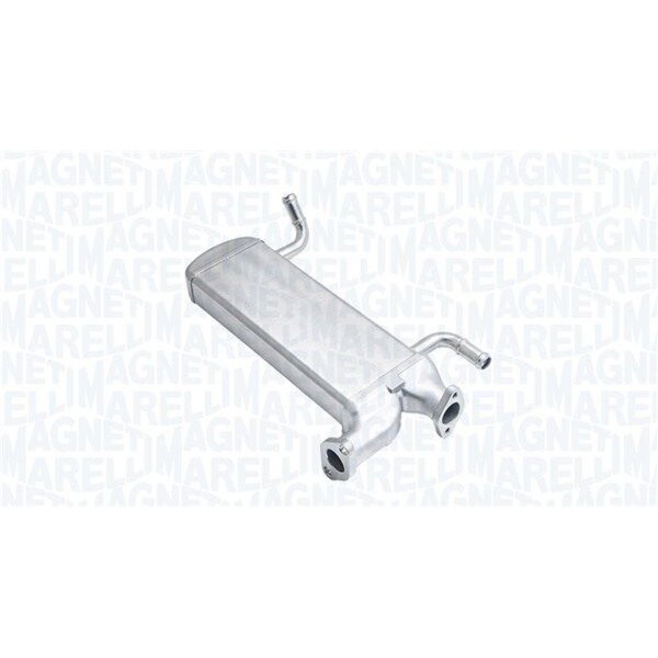 MAGNETI MARELLI 571822112169 Kühler, Abgasrückführung