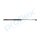 PROFLEX AUTOMOTIVE PX2-0572 Gasfeder, Koffer-/Laderaum