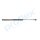 PROFLEX AUTOMOTIVE PX2-0509 Gasfeder, Koffer-/Laderaum