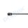 PROFLEX AUTOMOTIVE PX2-0042 Gasfeder, Koffer-/Laderaum