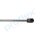 PROFLEX AUTOMOTIVE PX2-0562 Gasfeder, Koffer-/Laderaum