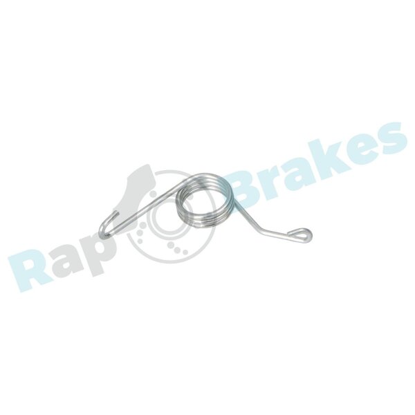 RAP BRAKES R-Z0168 Reparatursatz, Feststellbremshebel (Bremssattel)