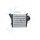CLIMTEX CH4-1007 Ladeluftkühler