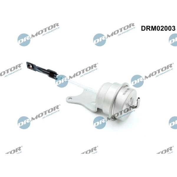 Dr.Motor Automotive DRM02003 Stellelement, Turbolader