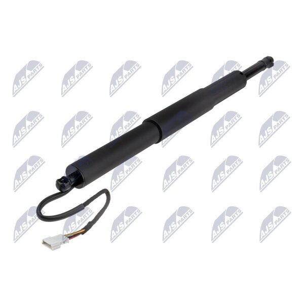 NTY AE-BM-157 Gasfeder, Koffer-/Laderaum