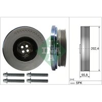 Schaeffler INA 544 0603 20 Riemenscheibe, Kurbelwelle