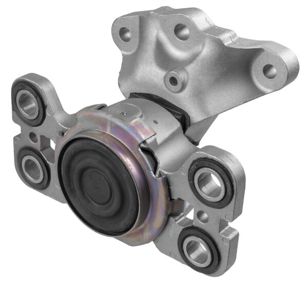 LEMFÖRDER 43611 01 Lagerung, Motor