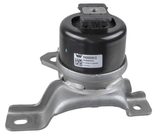 LEMFÖRDER 45543 01 Lagerung, Motor