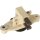 HC-Cargo F 032 130 958 Generatorregler
