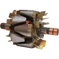 HC-Cargo F 032 136 674 Läufer, Generator