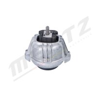 MERTZ M-S5313 Lagerung, Motor