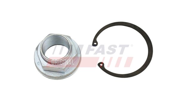 FAST FT26031 Mutter, Achszapfen
