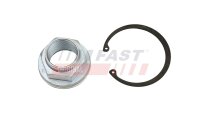 FAST FT26031 Mutter, Achszapfen
