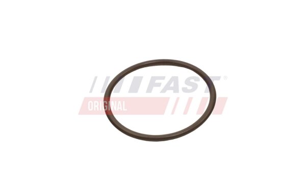 FAST FT49933 Dichtring, Ladeluftschlauch