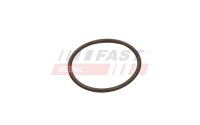 FAST FT49933 Dichtring, Ladeluftschlauch