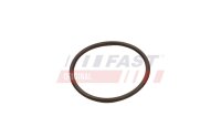 FAST FT49933 Dichtring, Ladeluftschlauch