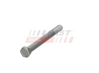 FAST FT20026 Schraube, Querlenker